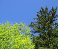 /album/fotogalerie/bildstoff-466-jpg/